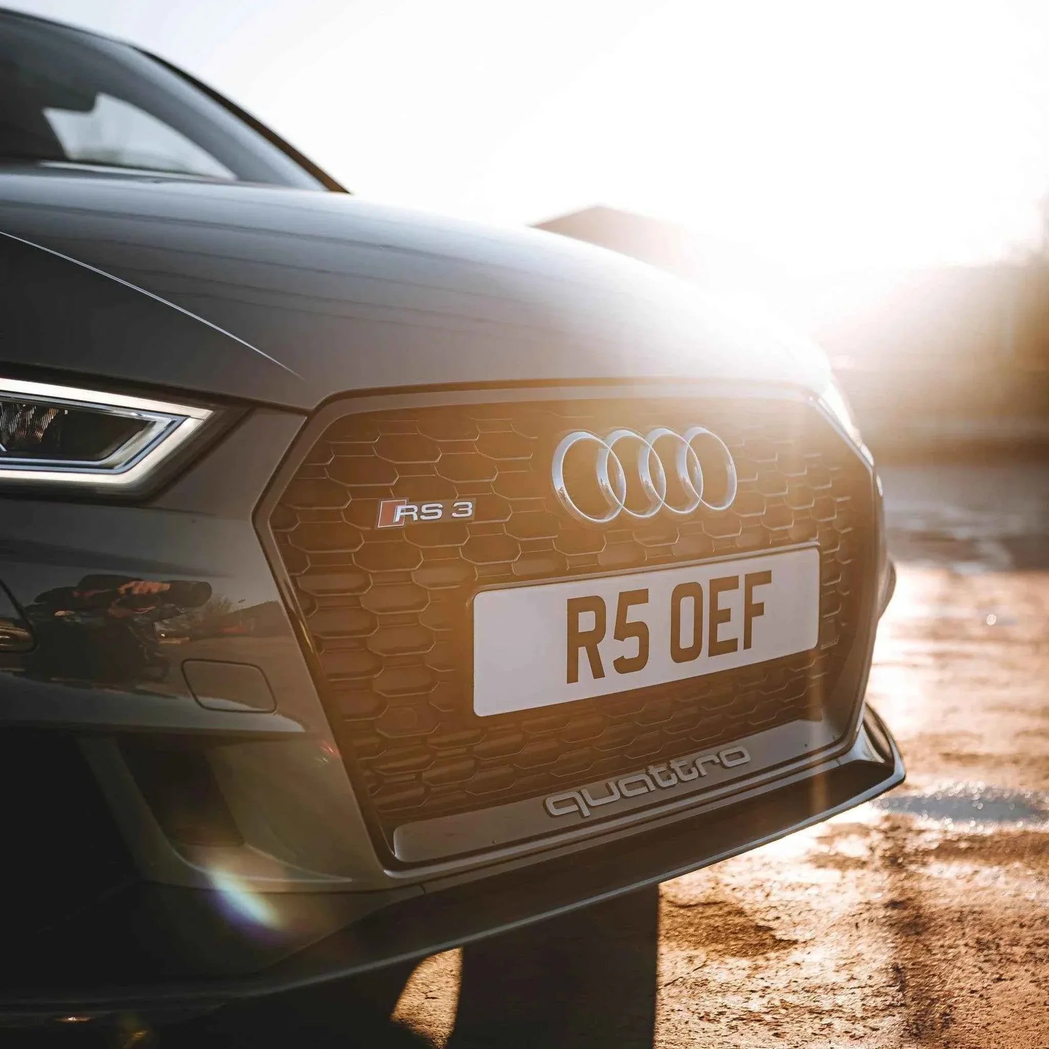 Road Legal vs Show Plates: What's the Difference?