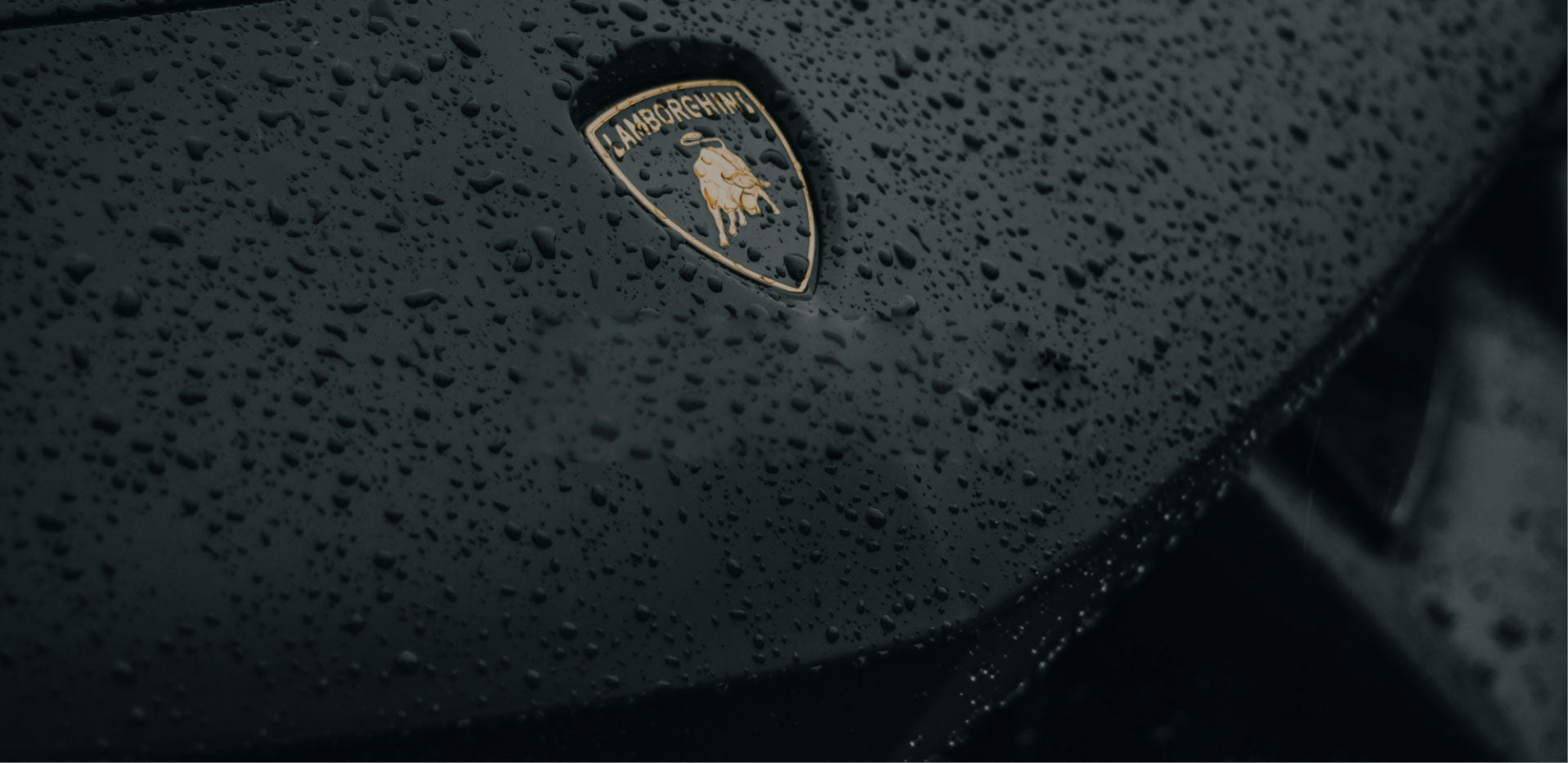 Lamborghini logo on a black surface with water droplets featuring the plate wizard making custom number plates
